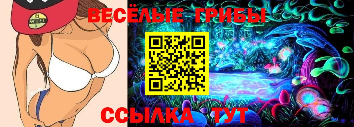Галлюциногенные грибы Magic Shrooms Ульяновск